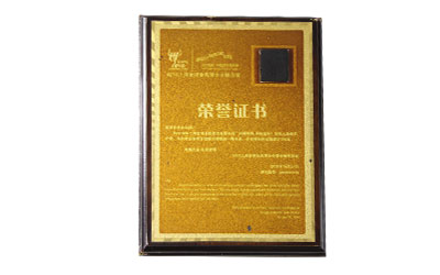 2010上海世博會(huì)民營(yíng)企業(yè)聯(lián)合館榮譽(yù)證書(shū)